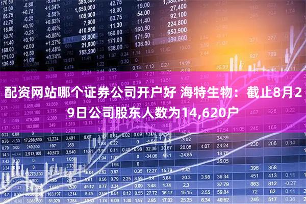 配资网站哪个证券公司开户好 海特生物：截止8月29日公司股东人数为14,620户
