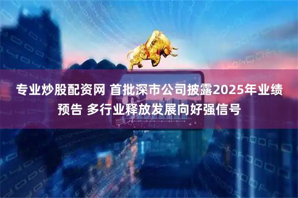 专业炒股配资网 首批深市公司披露2025年业绩预告 多行业释放发展向好强信号