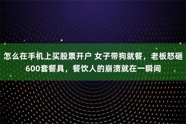 怎么在手机上买股票开户 女子带狗就餐，老板怒砸600套餐具，餐饮人的崩溃就在一瞬间