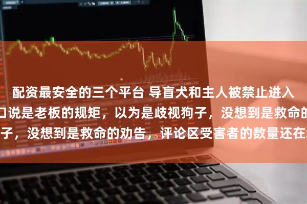 配资最安全的三个平台 导盲犬和主人被禁止进入书店，工作人员拦在门口说是老板的规矩，以为是歧视狗子，没想到是救命的劝告，评论区受害者的数量还在增加…