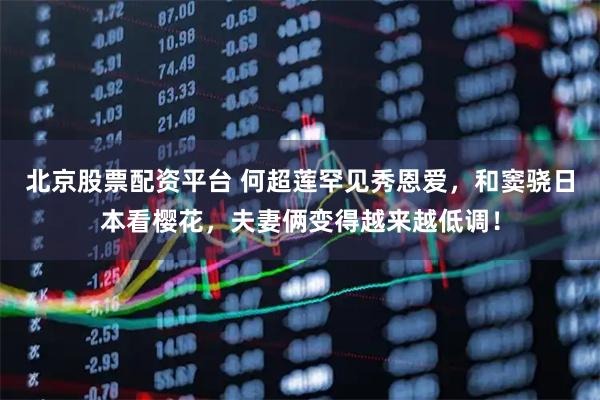 北京股票配资平台 何超莲罕见秀恩爱，和窦骁日本看樱花，夫妻俩变得越来越低调！